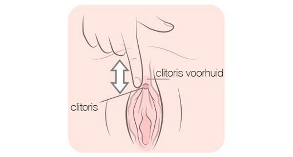 anatomie van de vagina