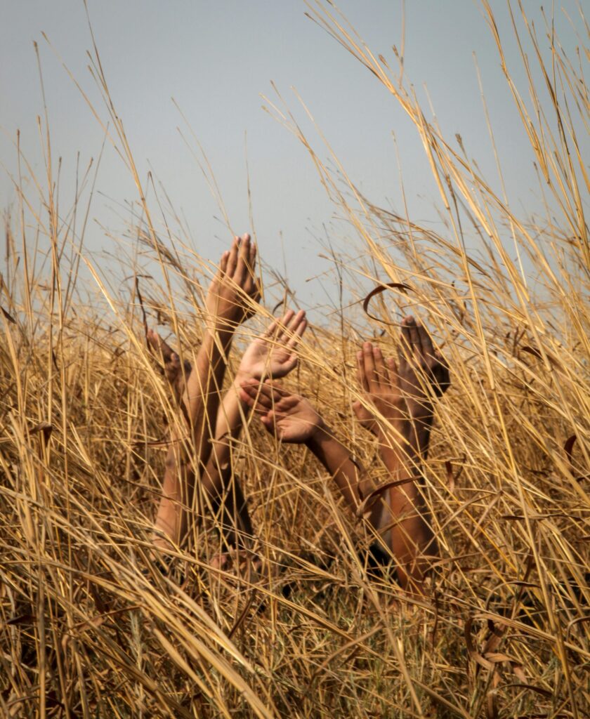 seks in het gras