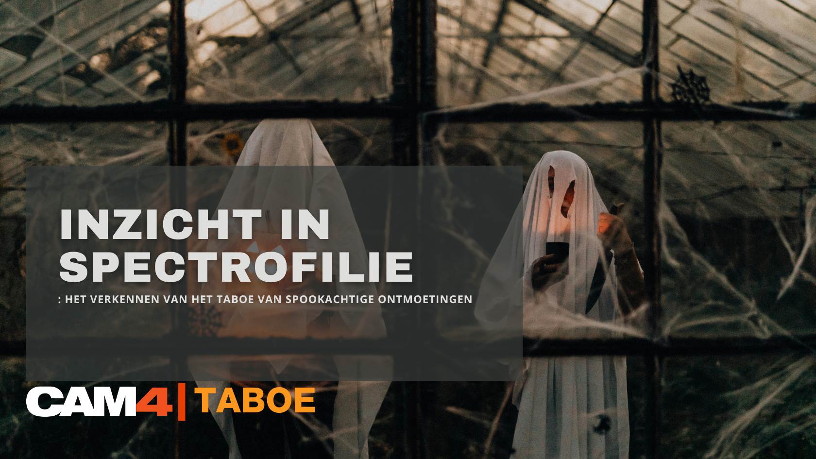 Het verkennen van het taboe van spookachtige ontmoetingen