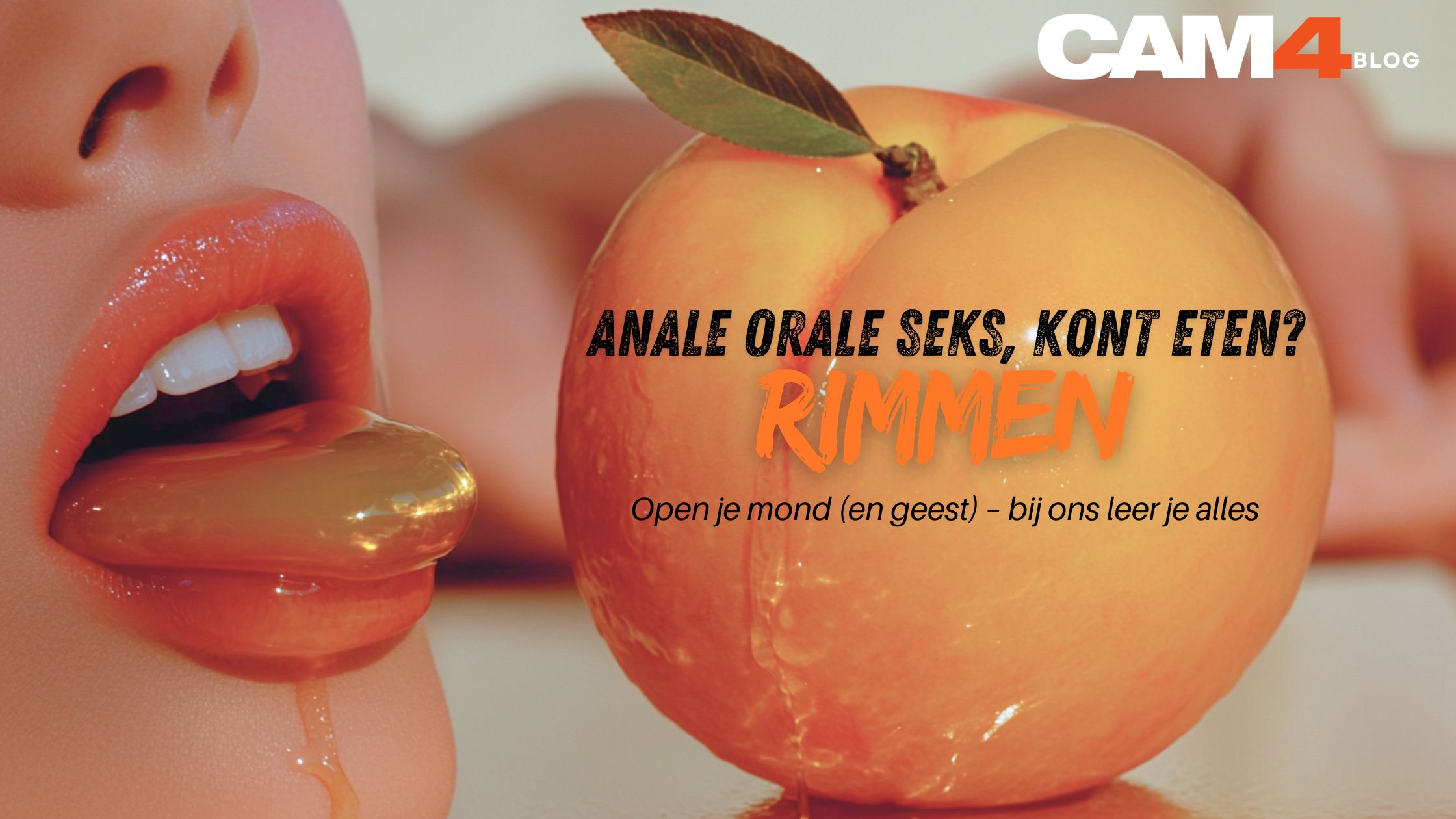 Alles over Rimmen Baffen en konteten